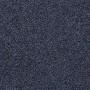 Lynch 65495