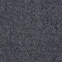 Lynch 65595