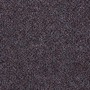 Lynch 65895